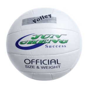 Balón de Voleibol Basic No.5